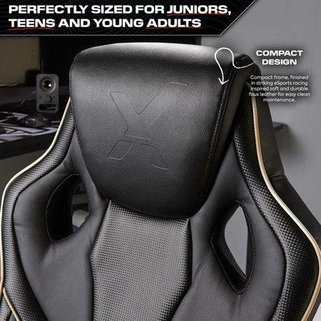 Maverick Ergonomic PC Office Gaming Chair - Black / Gold