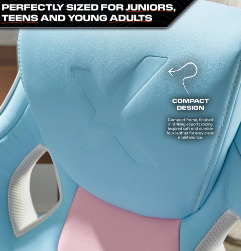 Maverick Ergonomic PC Office Gaming Chair - Bubblegum