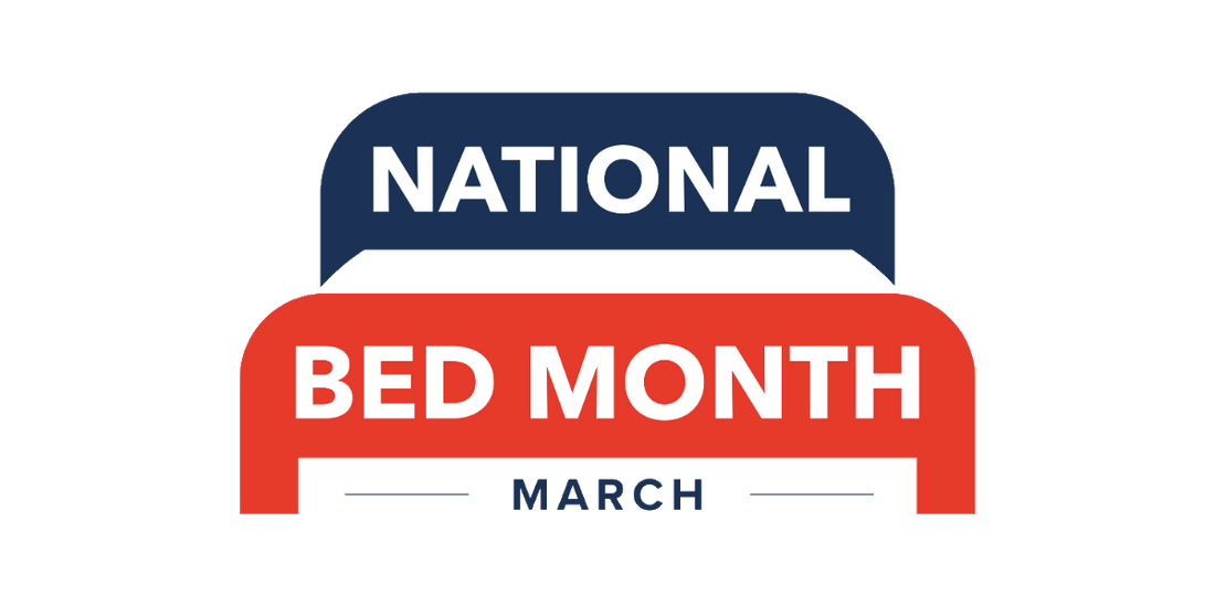 Sleep Better with the Best Gaming Beds this National Bed Month