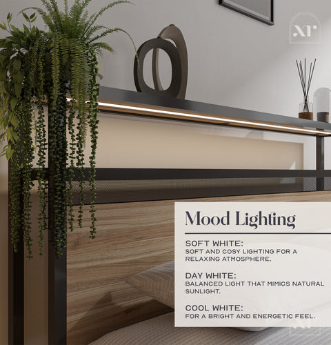 Denver Double Ottoman Bed With App Controlled LED Lighting - Oak/Black