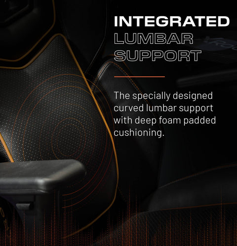 Drogon Ergonomic PC Office Gaming Chair - Black / Gold