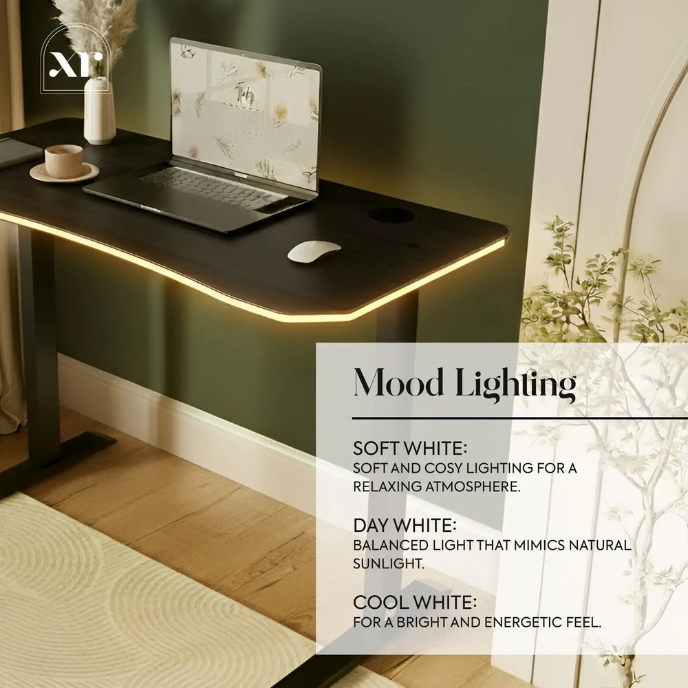 Oka Office Desk with LED Lighting & Charging - Black Ash | XR Living