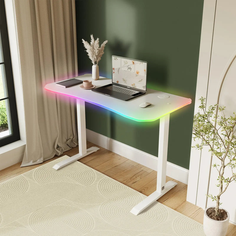 White desk with RGB lighting setup in a home office room with a window and plant.